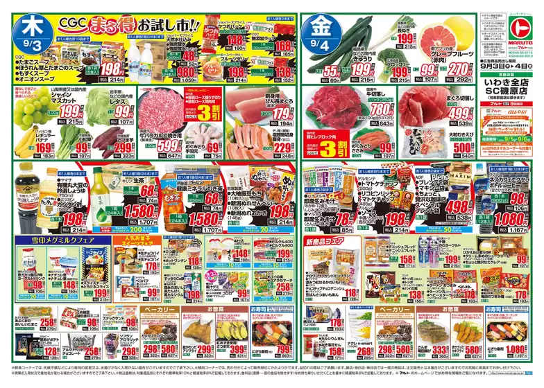 main_flyer image