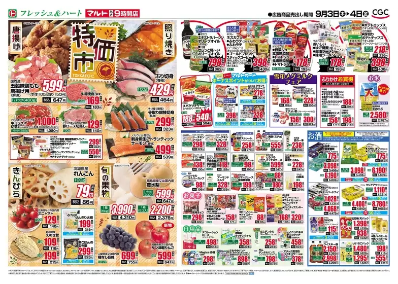 main_flyer image
