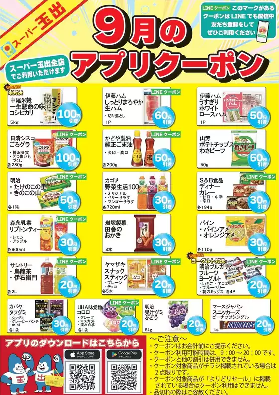 main_flyer image