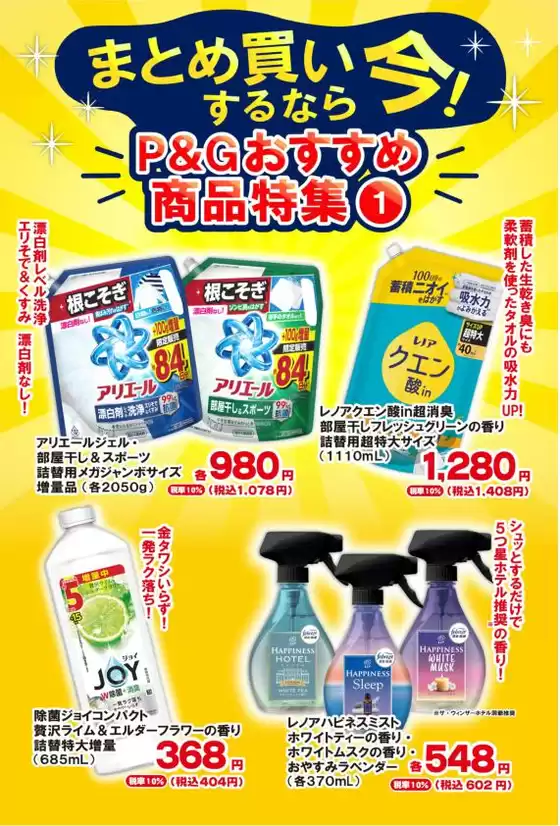 main_flyer image