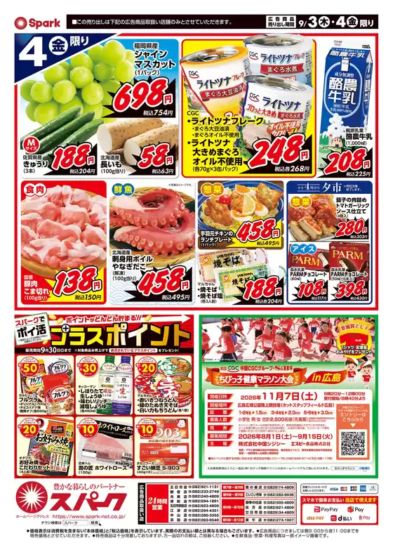 main_flyer image