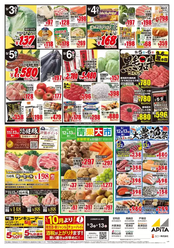 main_flyer image