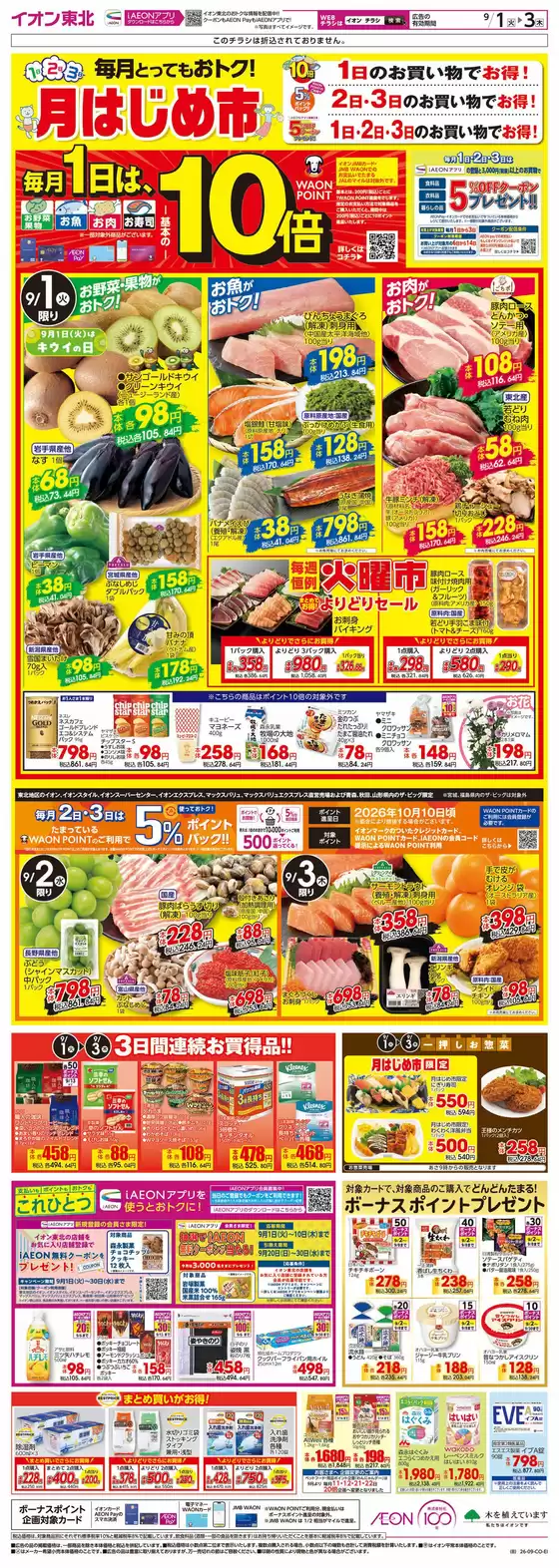 main_flyer image