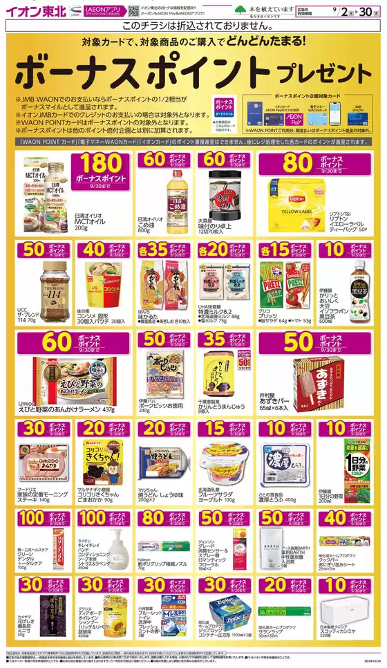 main_flyer image