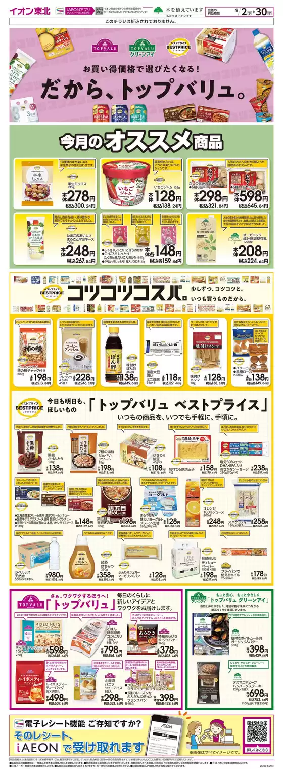 main_flyer image