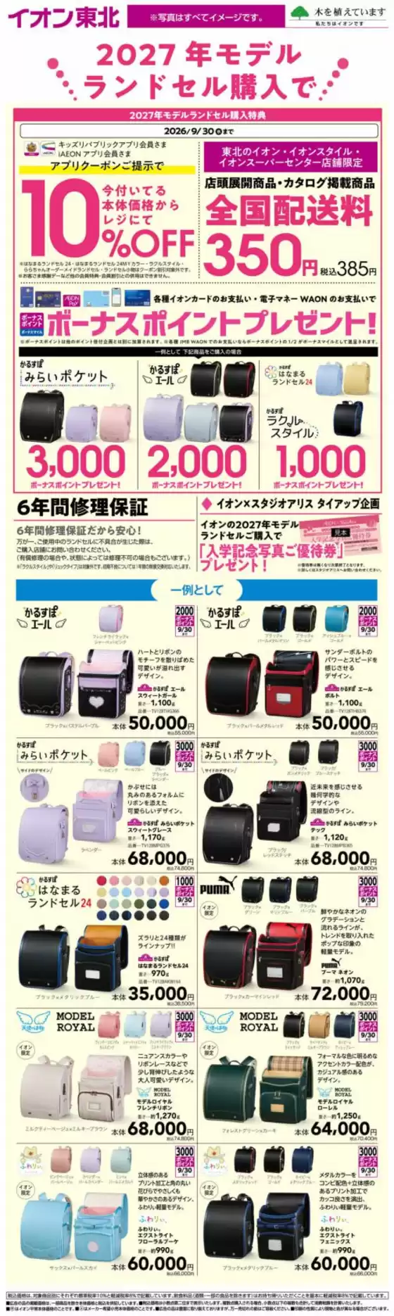 main_flyer image