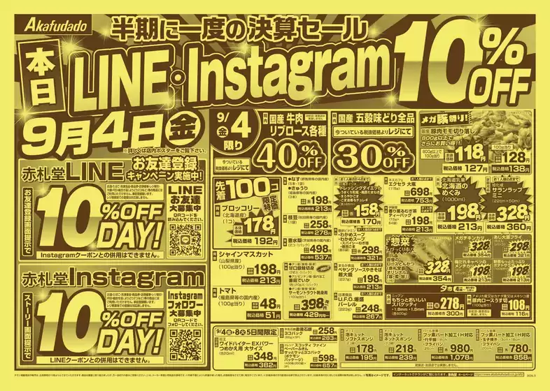 main_flyer image