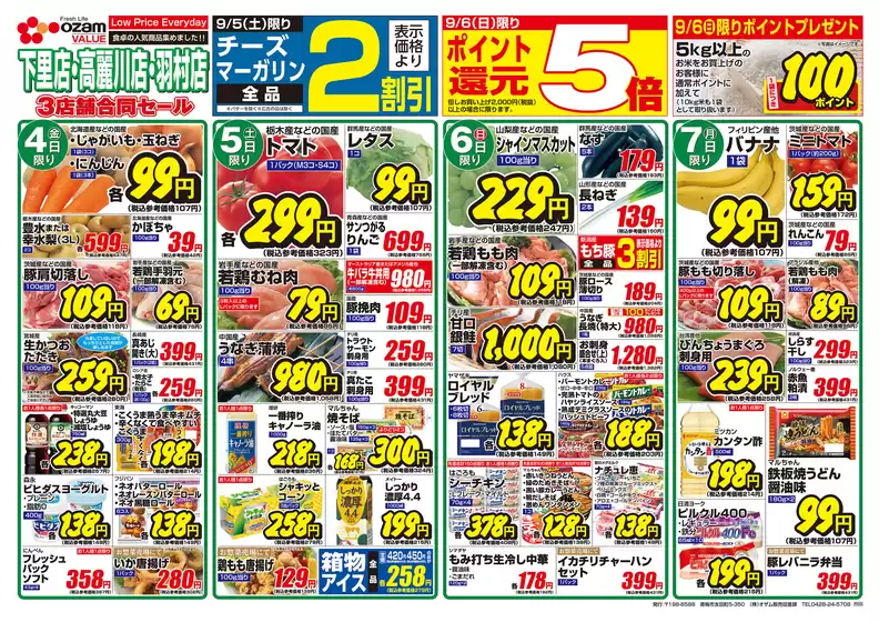 main_flyer image