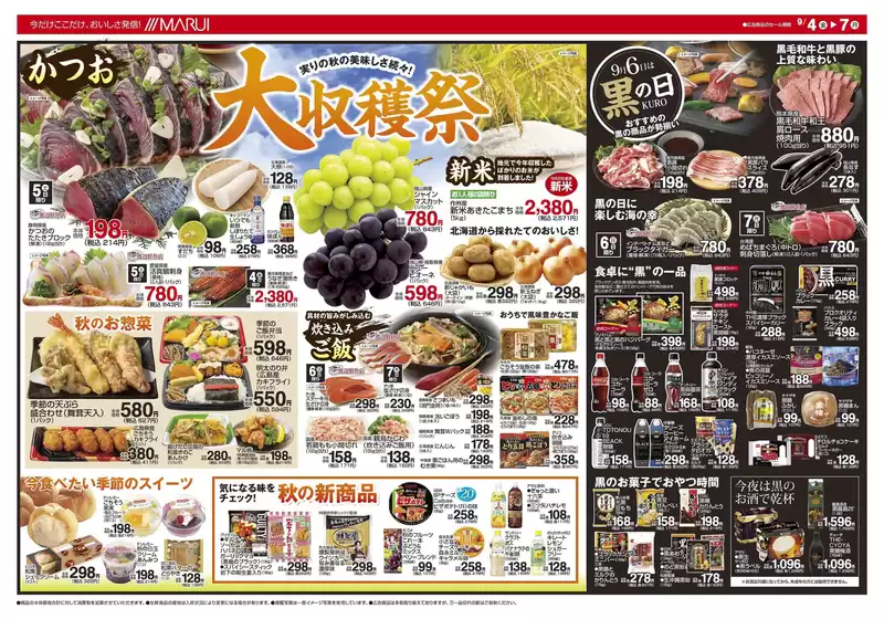 main_flyer image