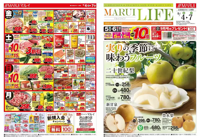 main_flyer image