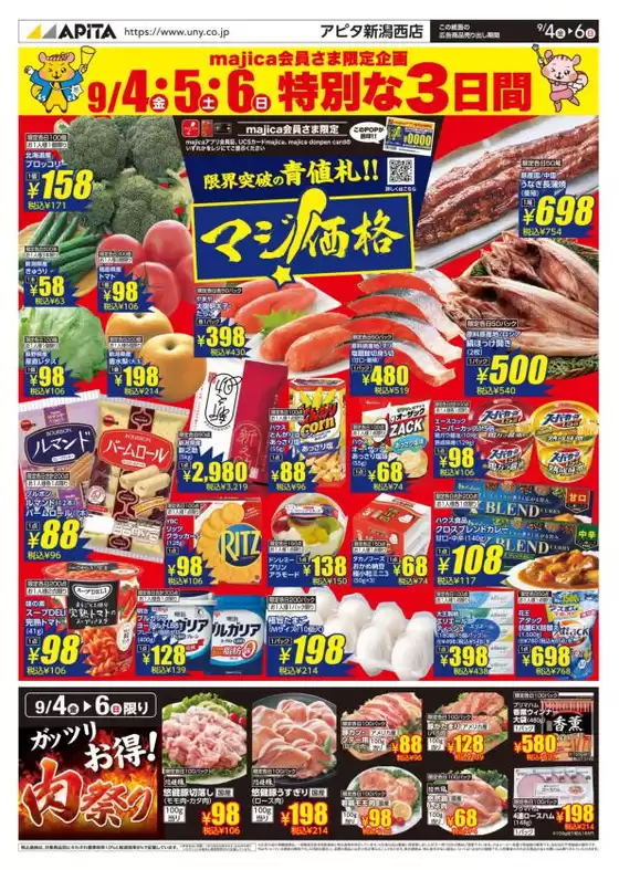 main_flyer image