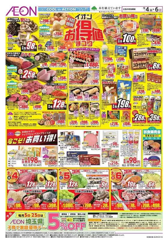 main_flyer image
