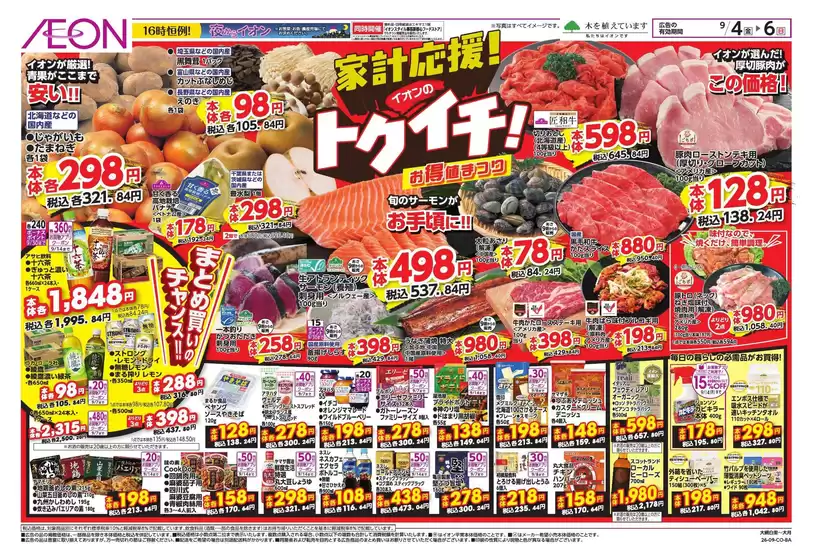 日野市でのイオンのカタログ | 排他的な掘り出し物 | 2026-09-03T00:00:00.000Z - 2026-09-06T00:00:00.000Z