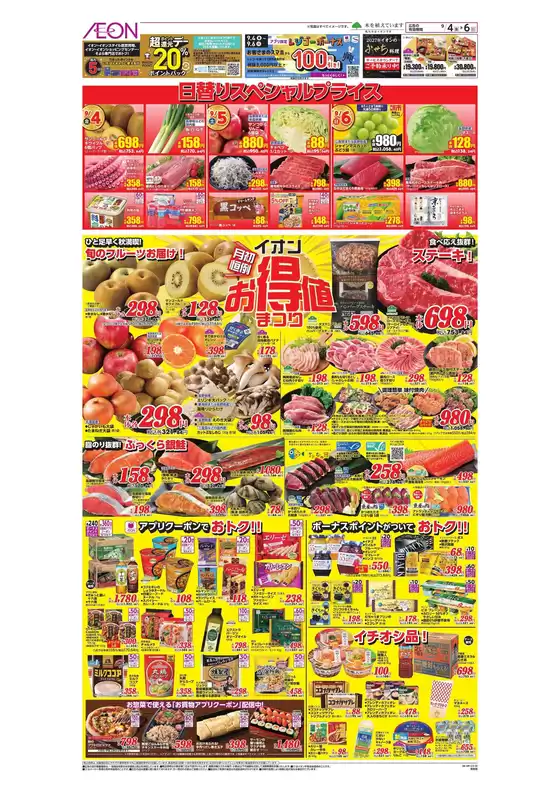 main_flyer image