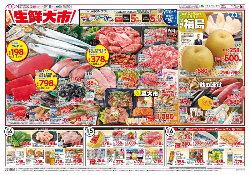 main_flyer image