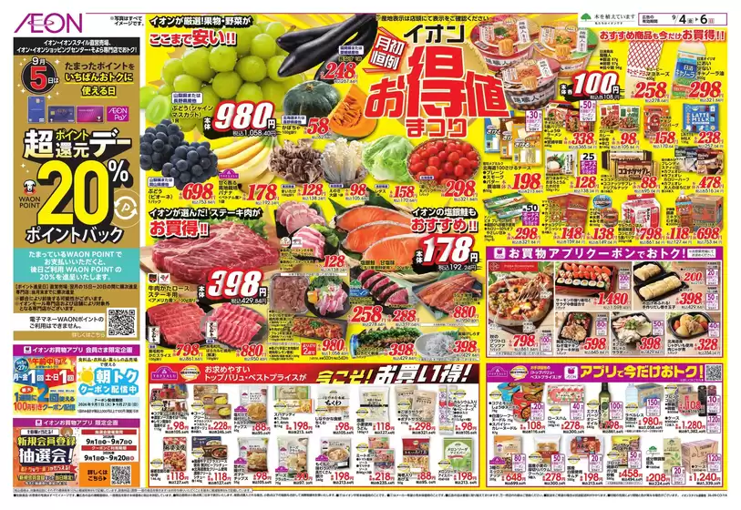 main_flyer image