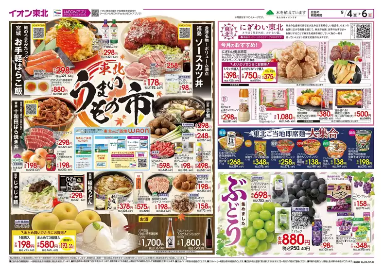main_flyer image