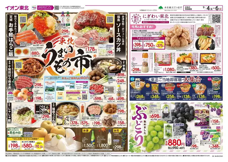 main_flyer image