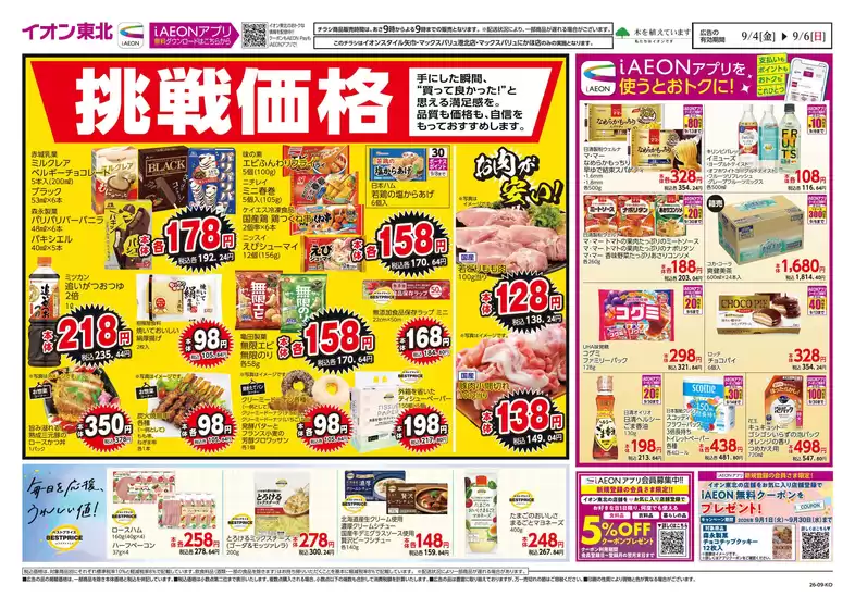 main_flyer image