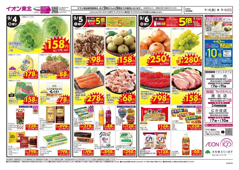 main_flyer image