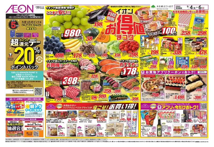main_flyer image