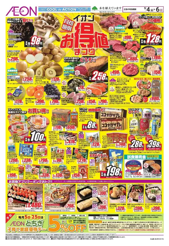 main_flyer image