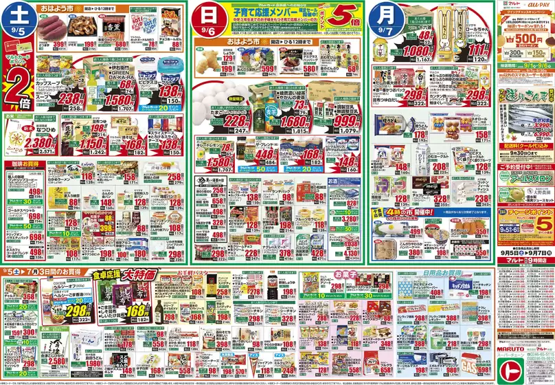main_flyer image