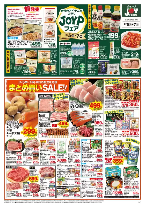 main_flyer image