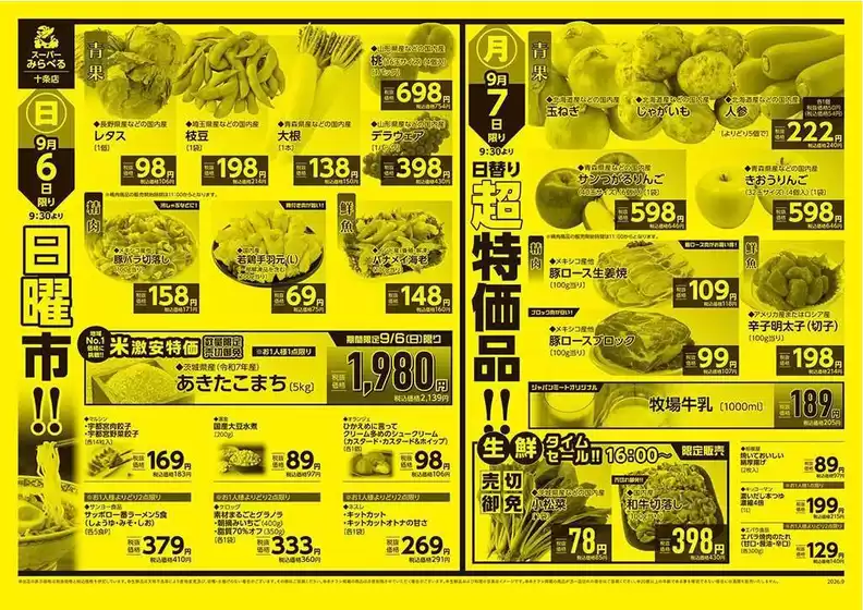 main_flyer image