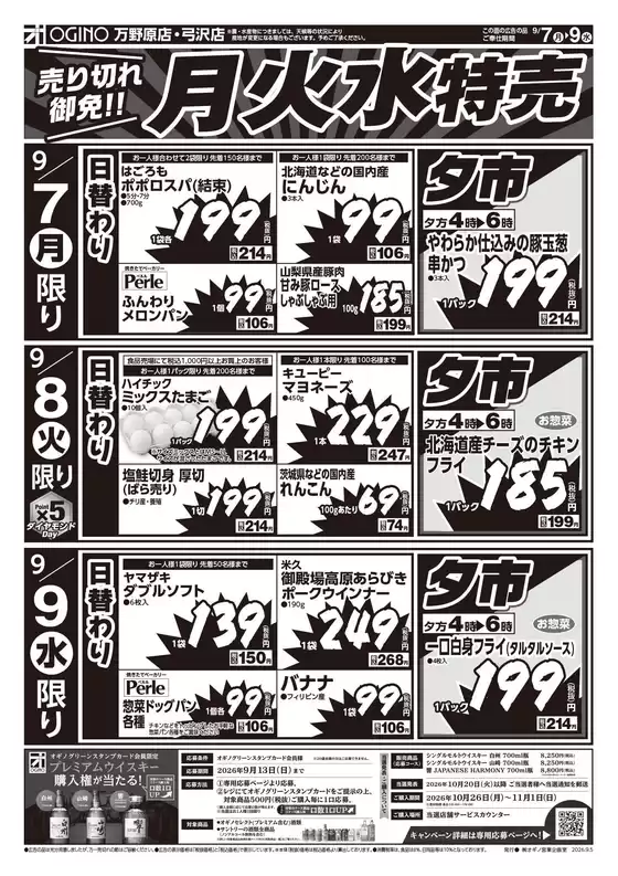main_flyer image