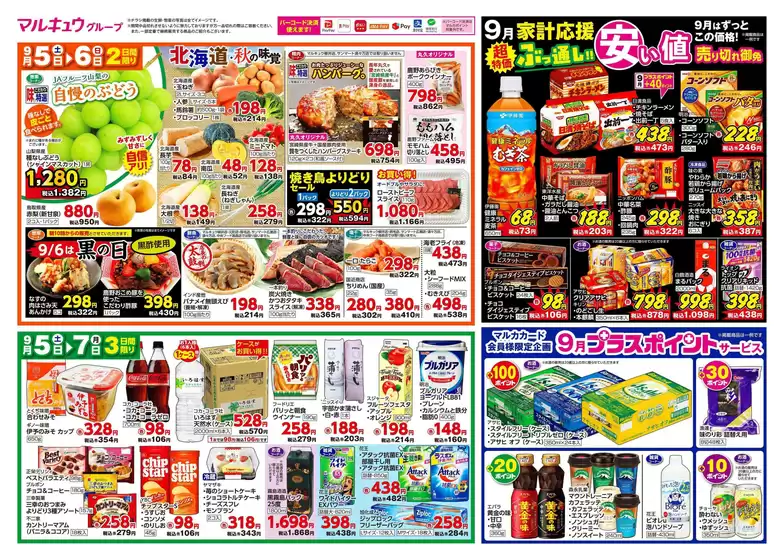 main_flyer image