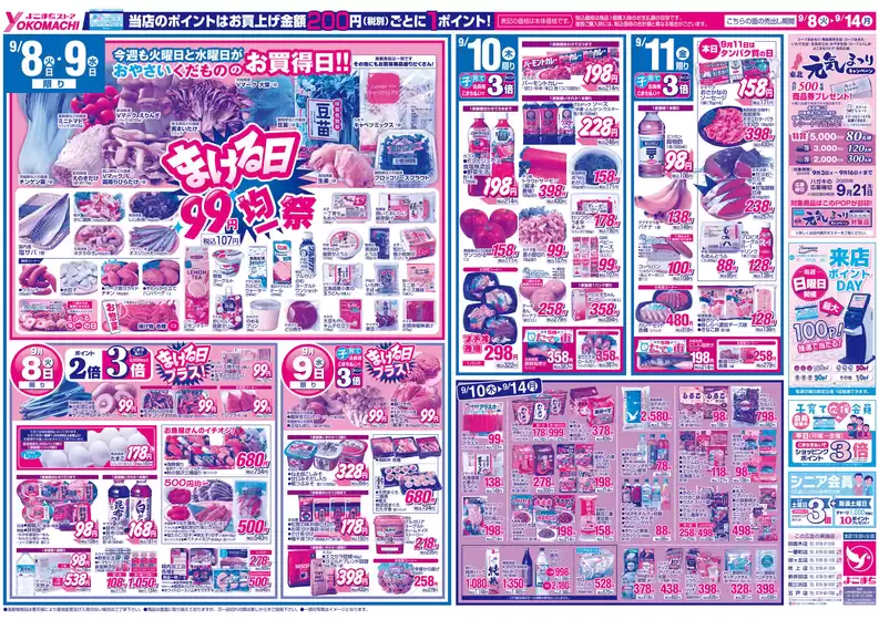 main_flyer image
