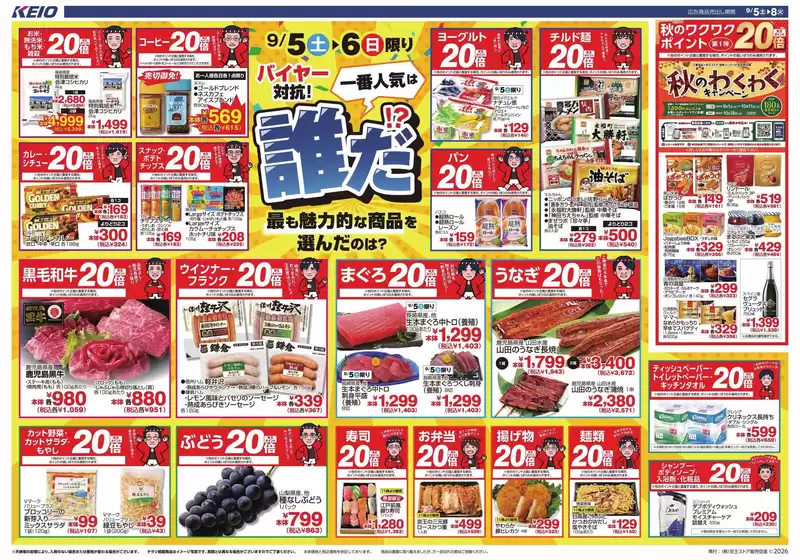 main_flyer image