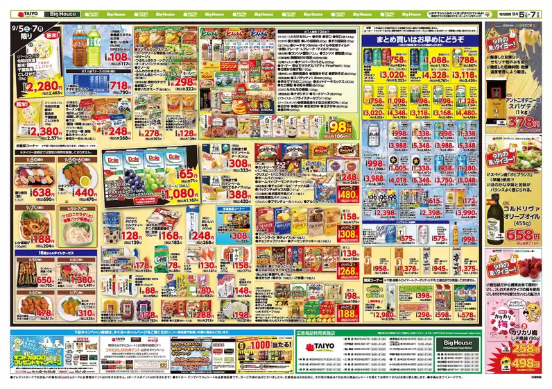 main_flyer image