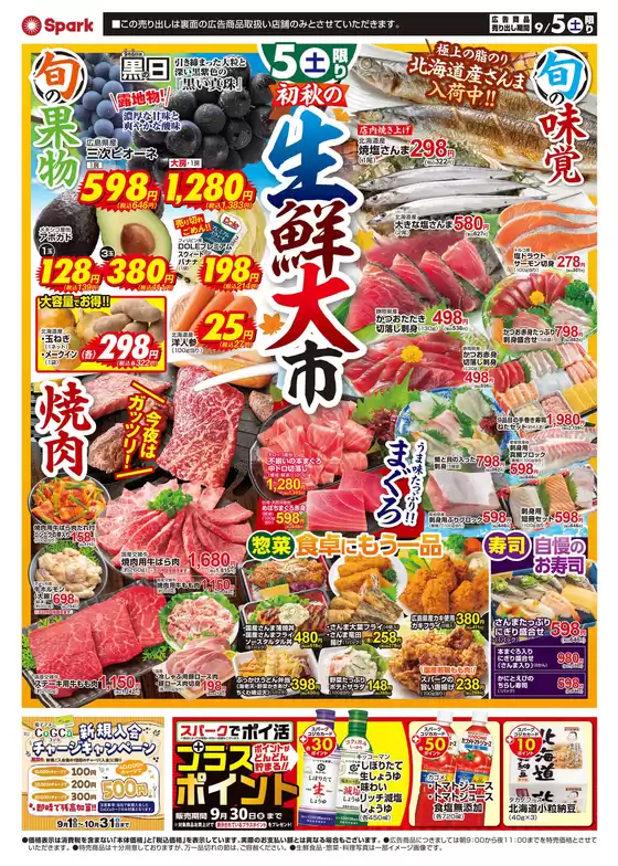 main_flyer image