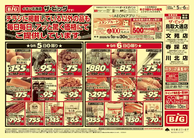 ザ・ビッグのカタログ | 現在の取引とオファー | 2026-09-04T00:00:00.000Z - 2026-09-08T00:00:00.000Z