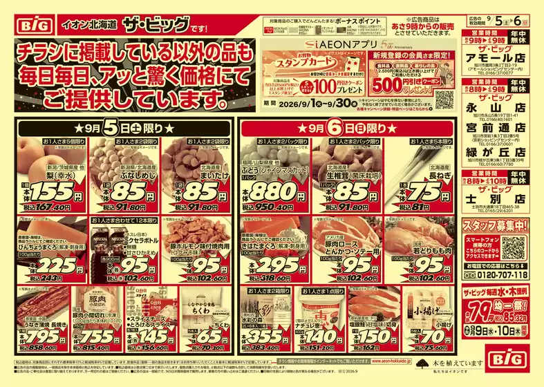 ザ・ビッグのカタログ | 現在の掘り出し物とオファー | 2026-09-04T00:00:00.000Z - 2026-09-08T00:00:00.000Z