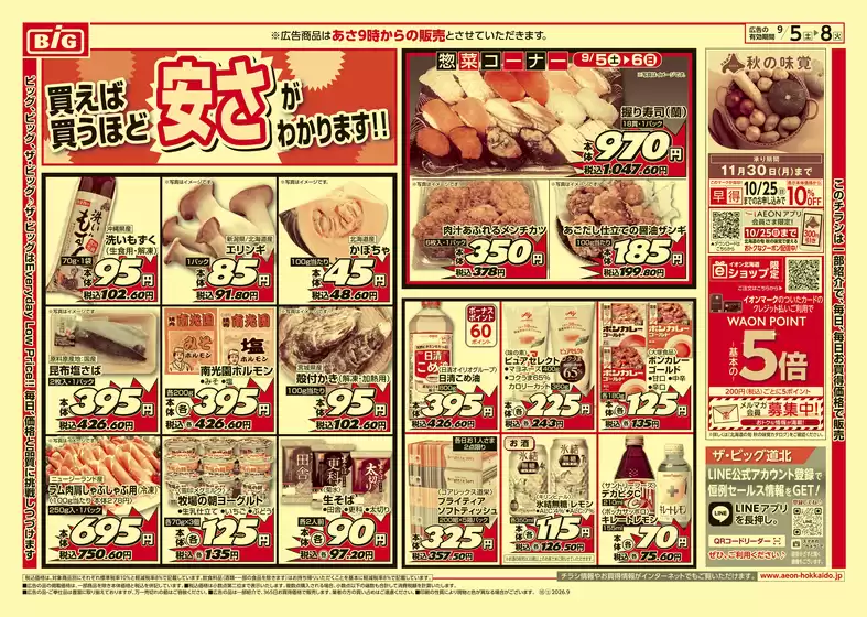 main_flyer image