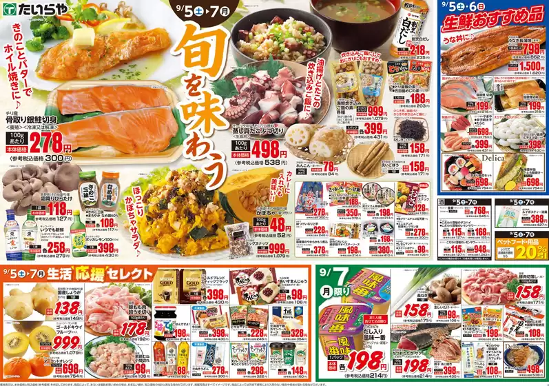 main_flyer image