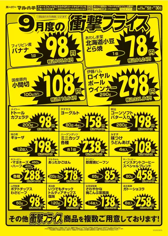 main_flyer image