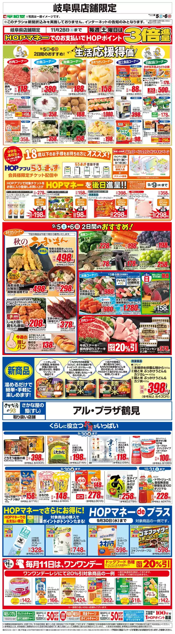 main_flyer image