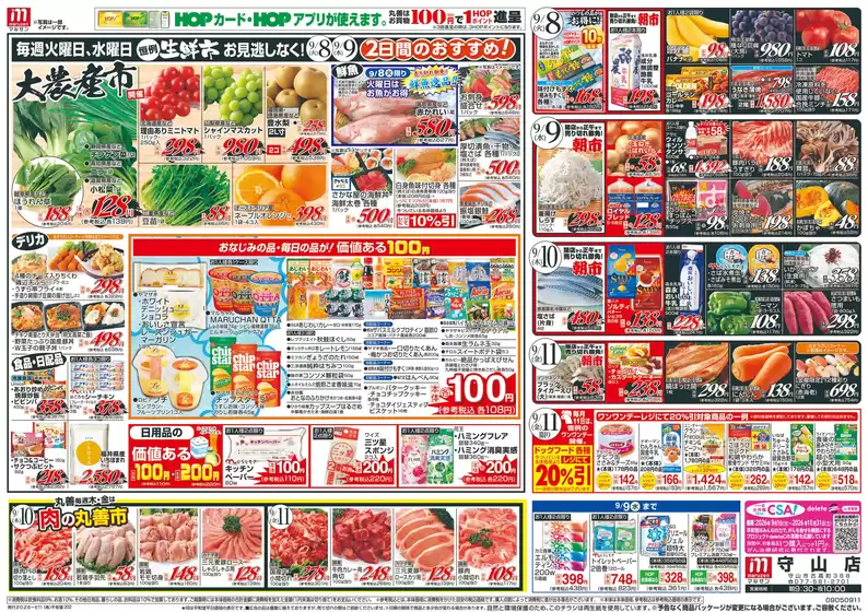 main_flyer image