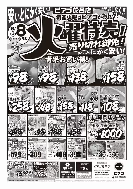 土浦市でのピアゴのカタログ | 9月8日(火) | 2026-09-05T00:00:00.000Z - 2026-09-08T00:00:00.000Z