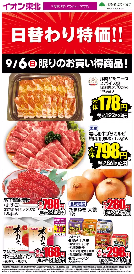 main_flyer image