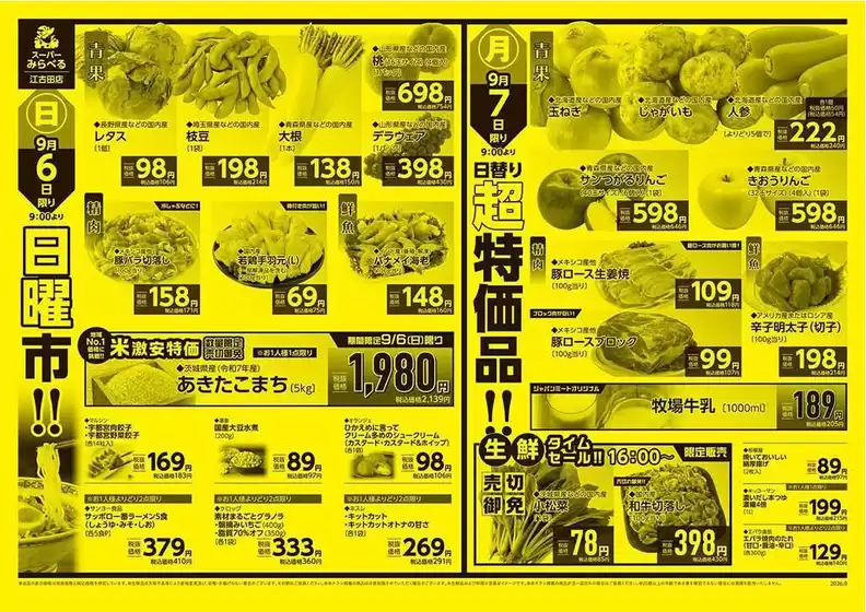 main_flyer image