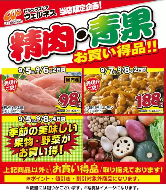 ウェルネスのカタログ | 9598 ウェルネス生鮮LINEチラシ-34567 | 2026-09-04T00:00:00.000Z - 2026-09-08T00:00:00.000Z