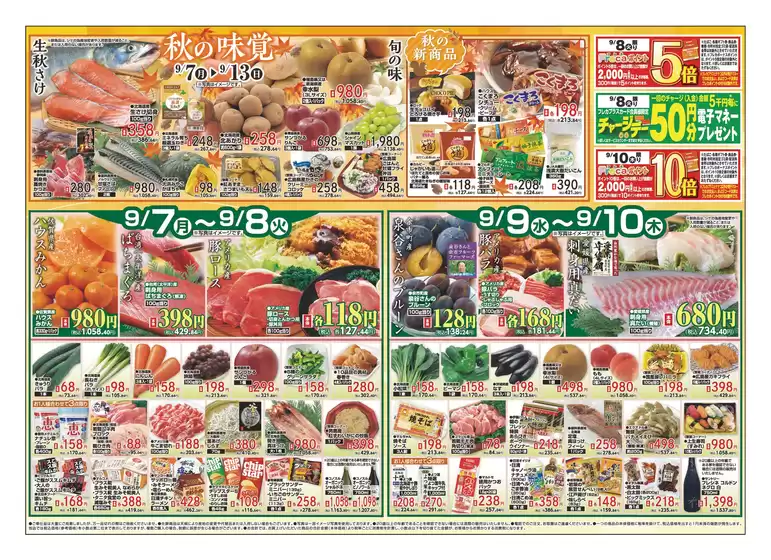 ダイイチのカタログ | 排他的な取引と掘り出し物 | 2026-09-07T00:00:00.000Z - 2026-09-13T00:00:00.000Z