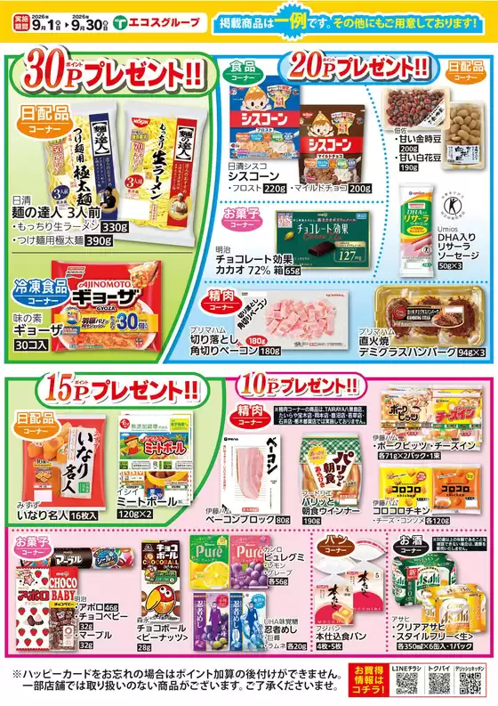 main_flyer image