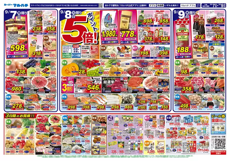 main_flyer image