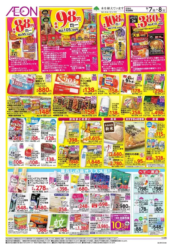 main_flyer image